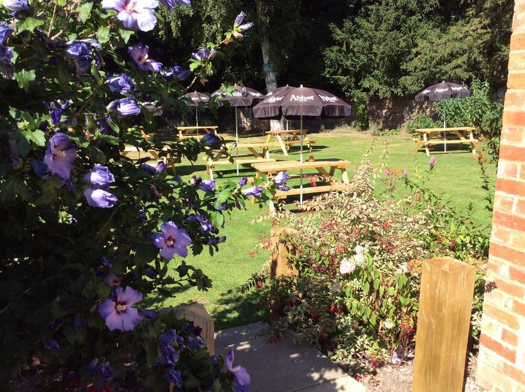 Turvey Three-Cranes Bed & Breakfast エクステリア 写真